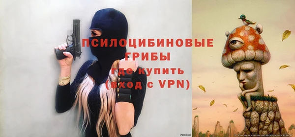 гидропоника Нягань