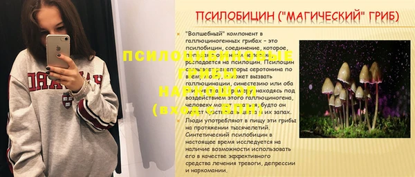 гидропоника Нягань