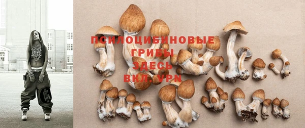 гидропоника Нягань