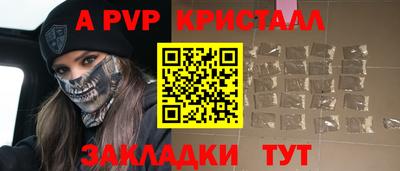 стаф Донской