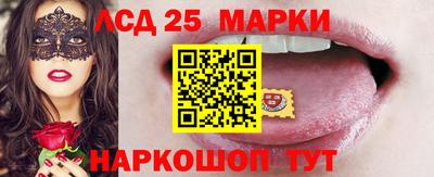 стаф Донской