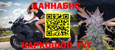 стаф Донской