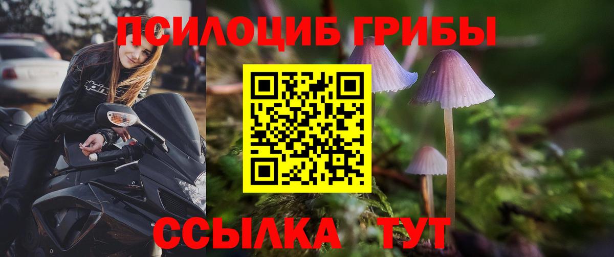 Галлюциногенные грибы GOLDEN TEACHER Таганрог