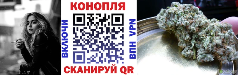 дарнет шоп  Таганрог  МАРИХУАНА марихуана 
